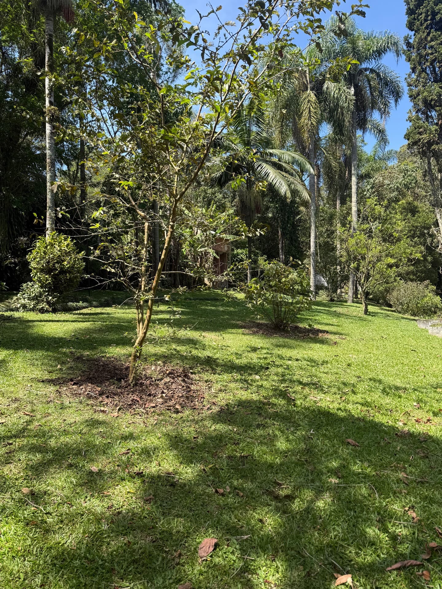 Espaço Jardim – 5