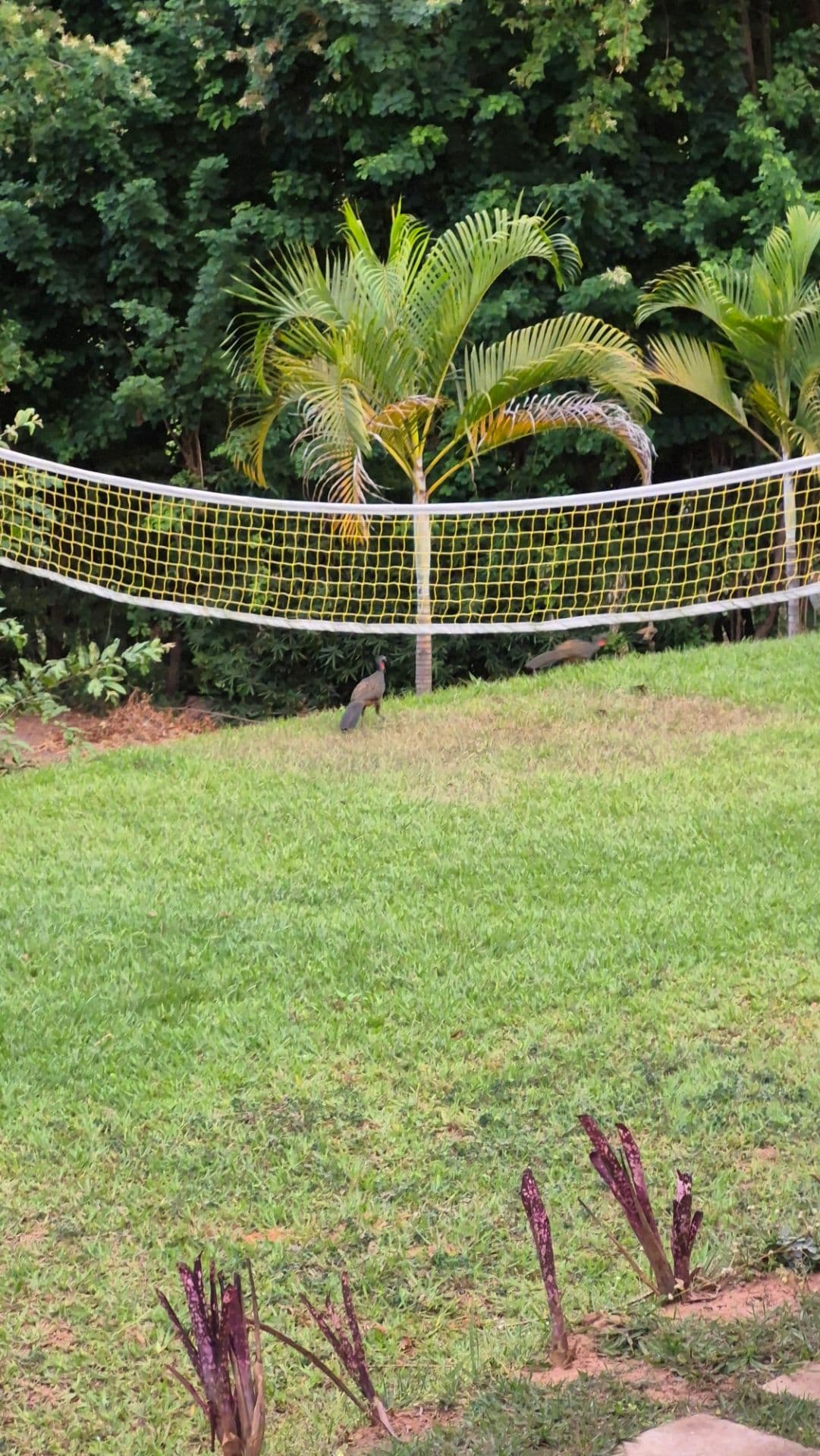 Sitio Recanto da Serra – 3