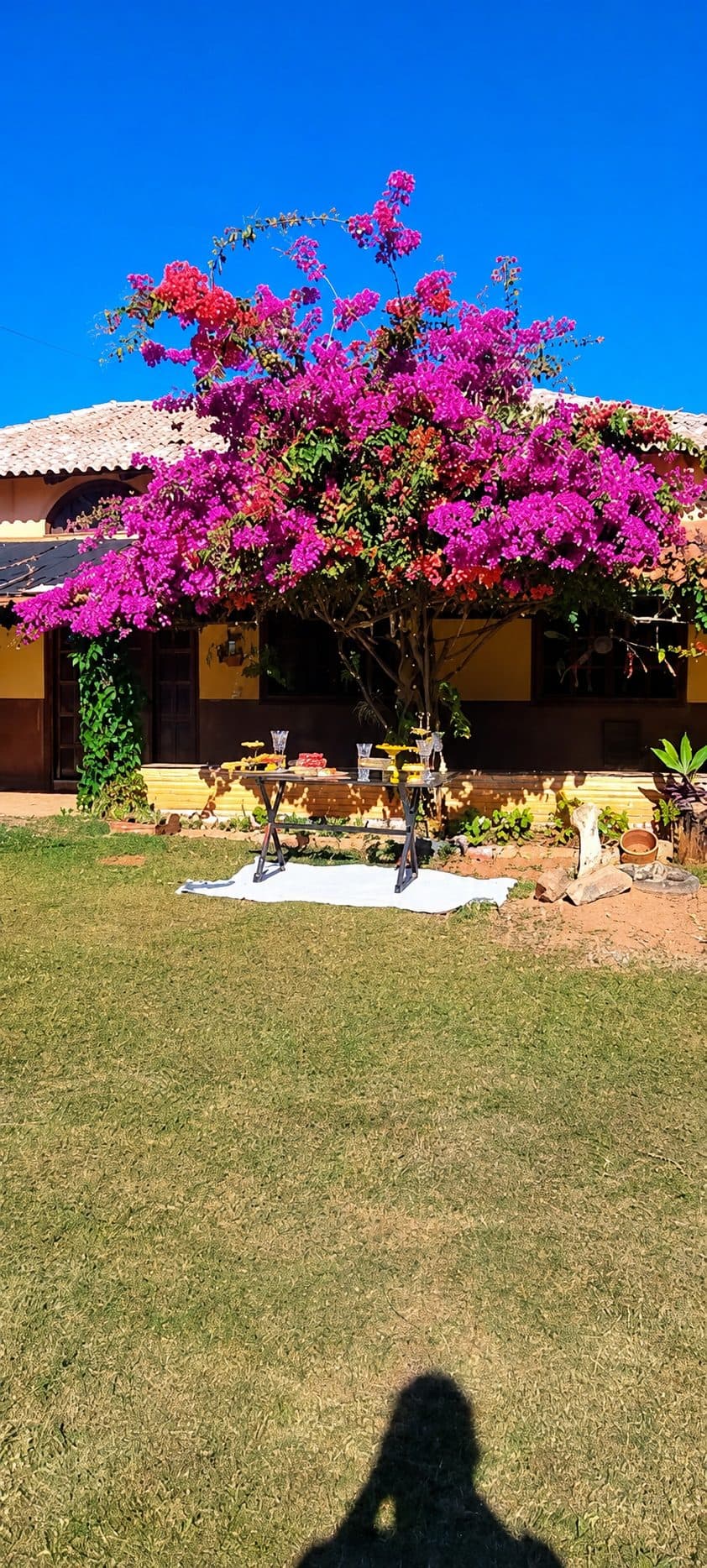 Espaço Casa Verde – 3