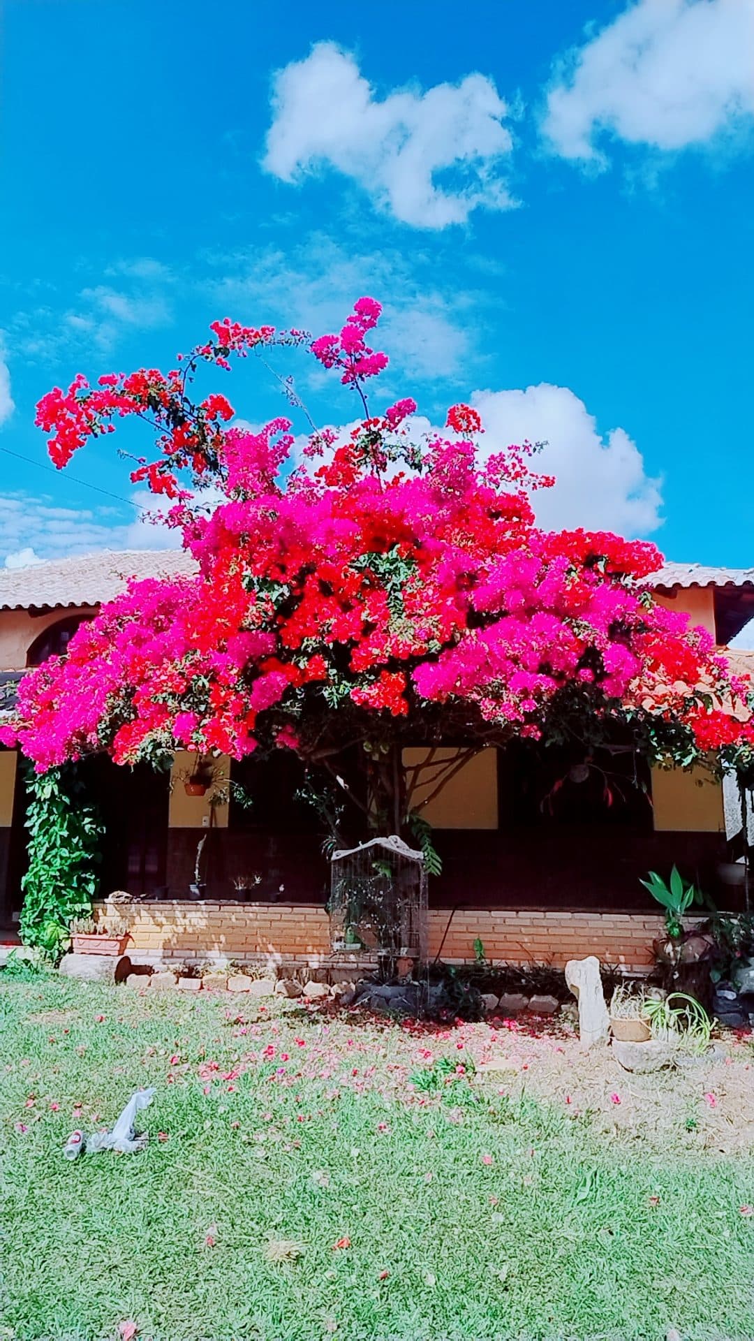 Espaço Casa Verde