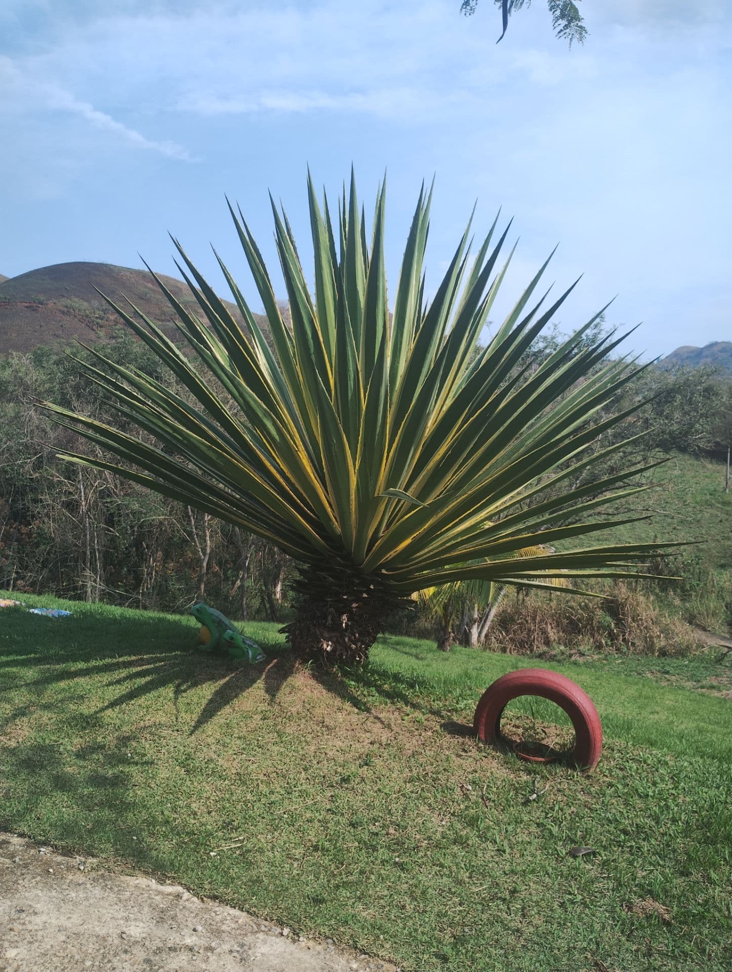 Chalé do açude - camping intimista – 5