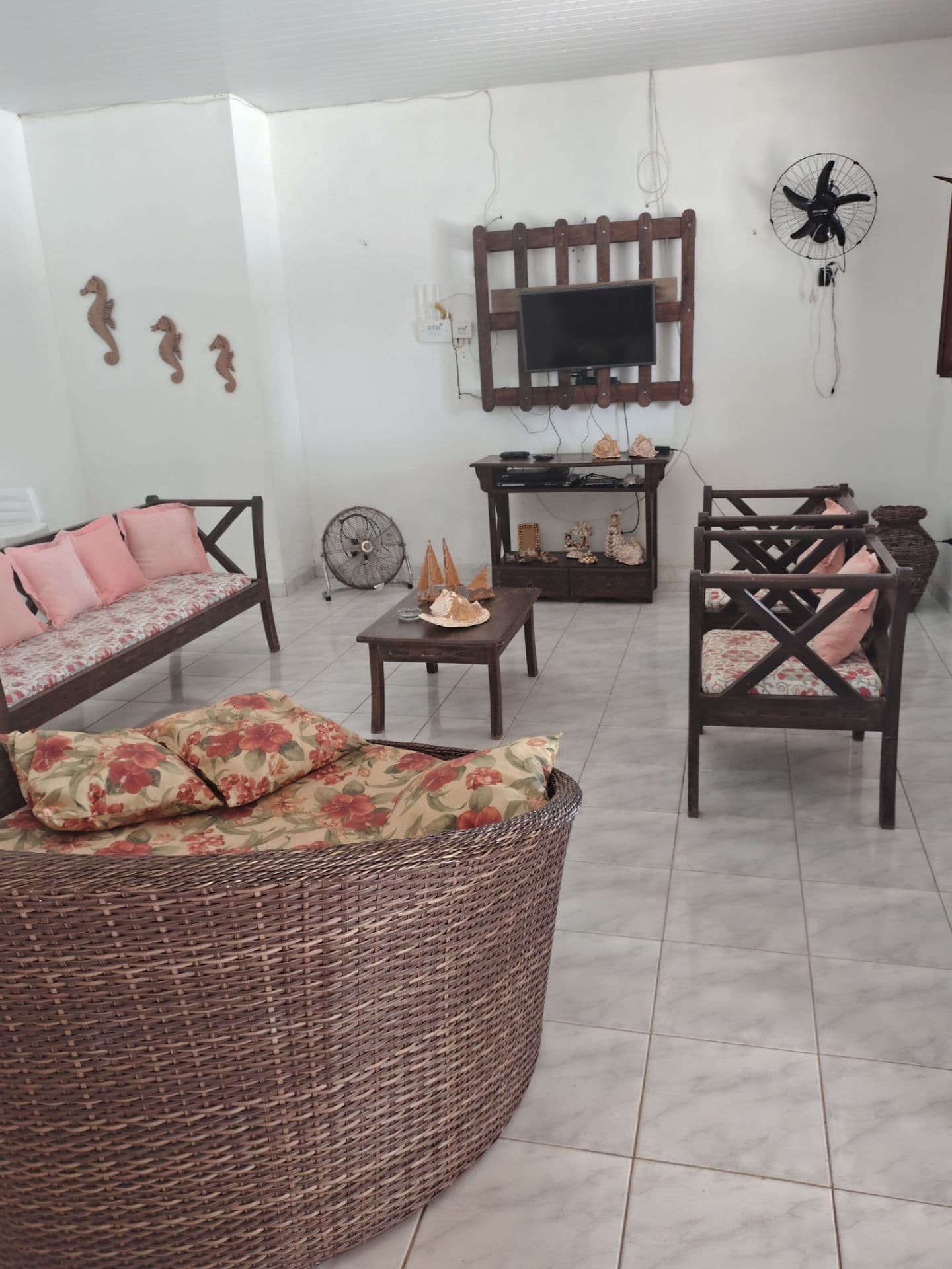 Amazona – 3