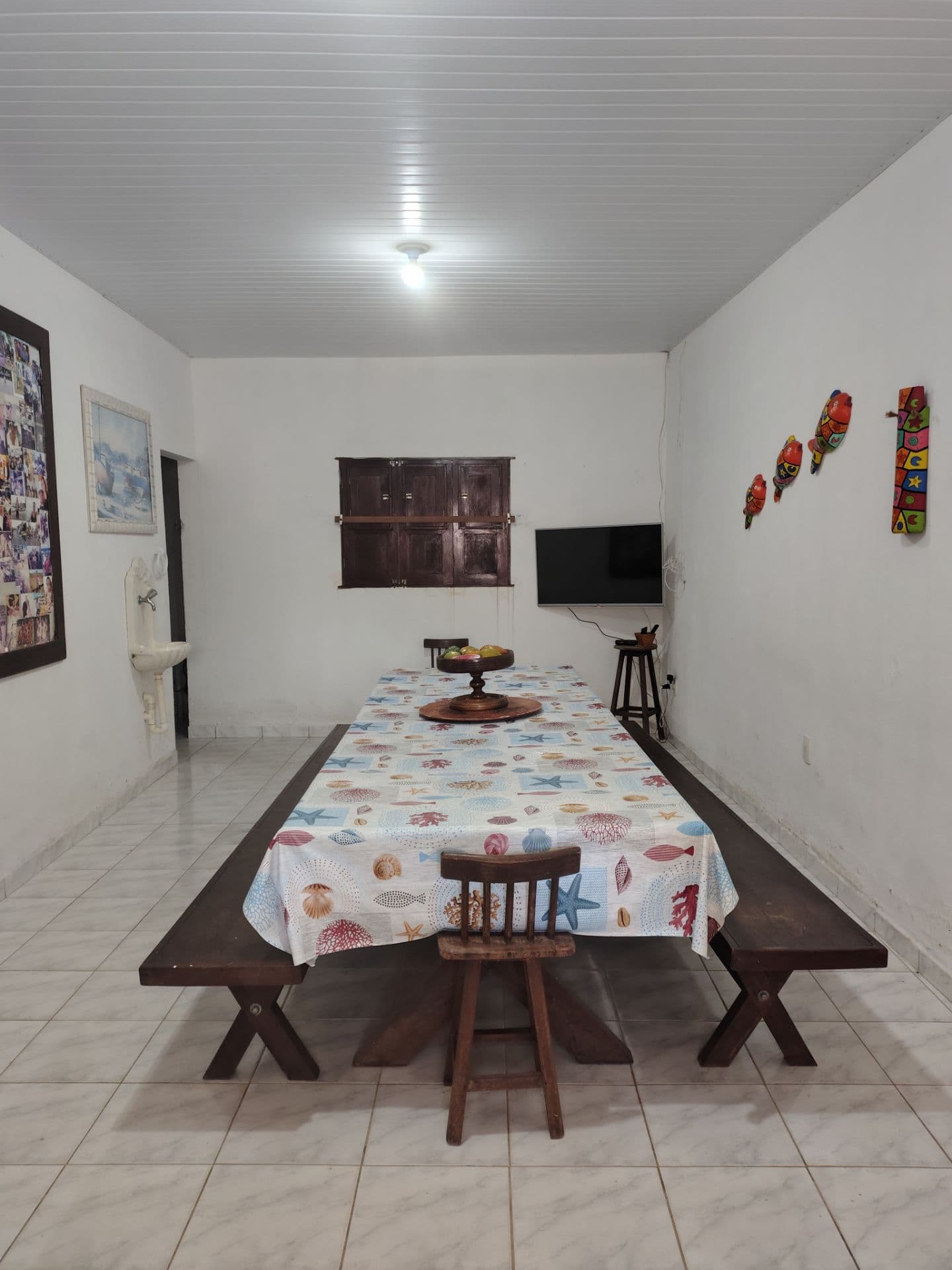 Amazona – 4